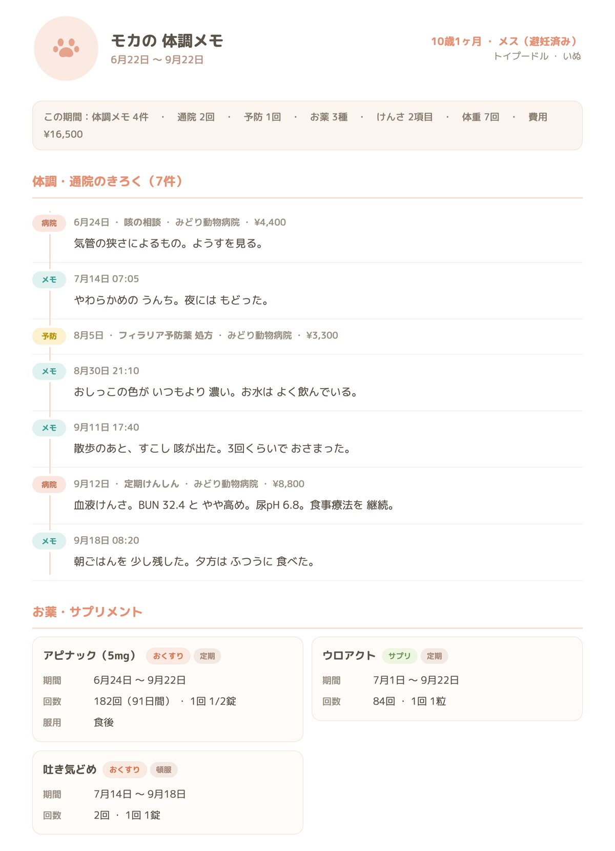 体調メモのPDF（通院時に 渡せる1枚）