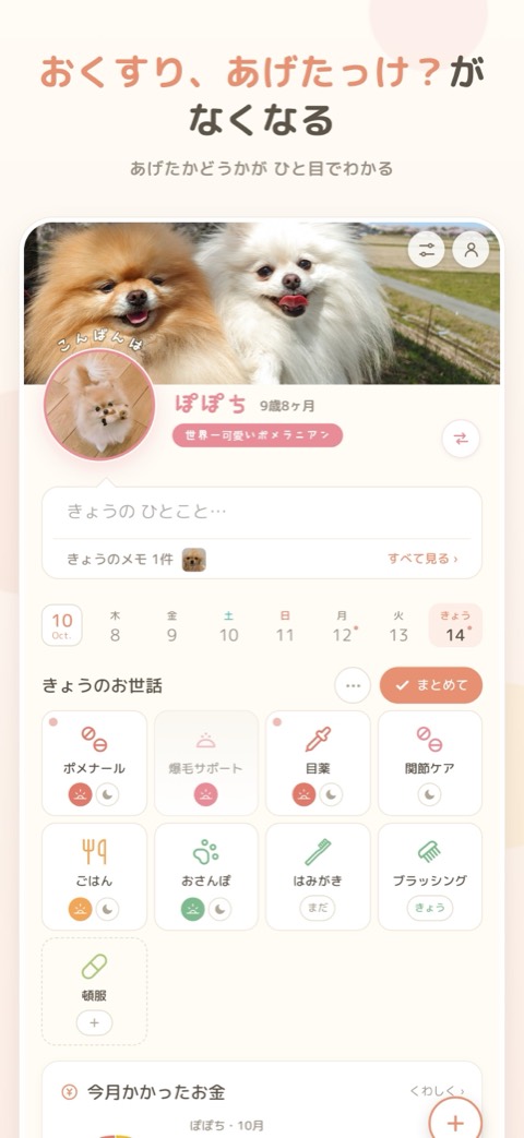 きょうのお世話が ひと目でわかる