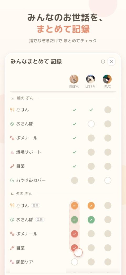 うちのこが横に並んだ まとめて記録の表